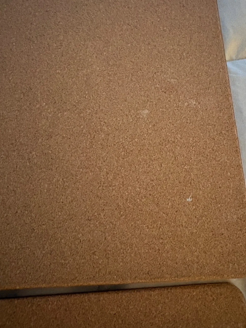 Cork Placemats Pineapple Set of 6 White Gray Gold